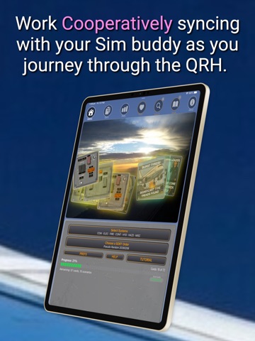 Scenario 737 iPad screenshot