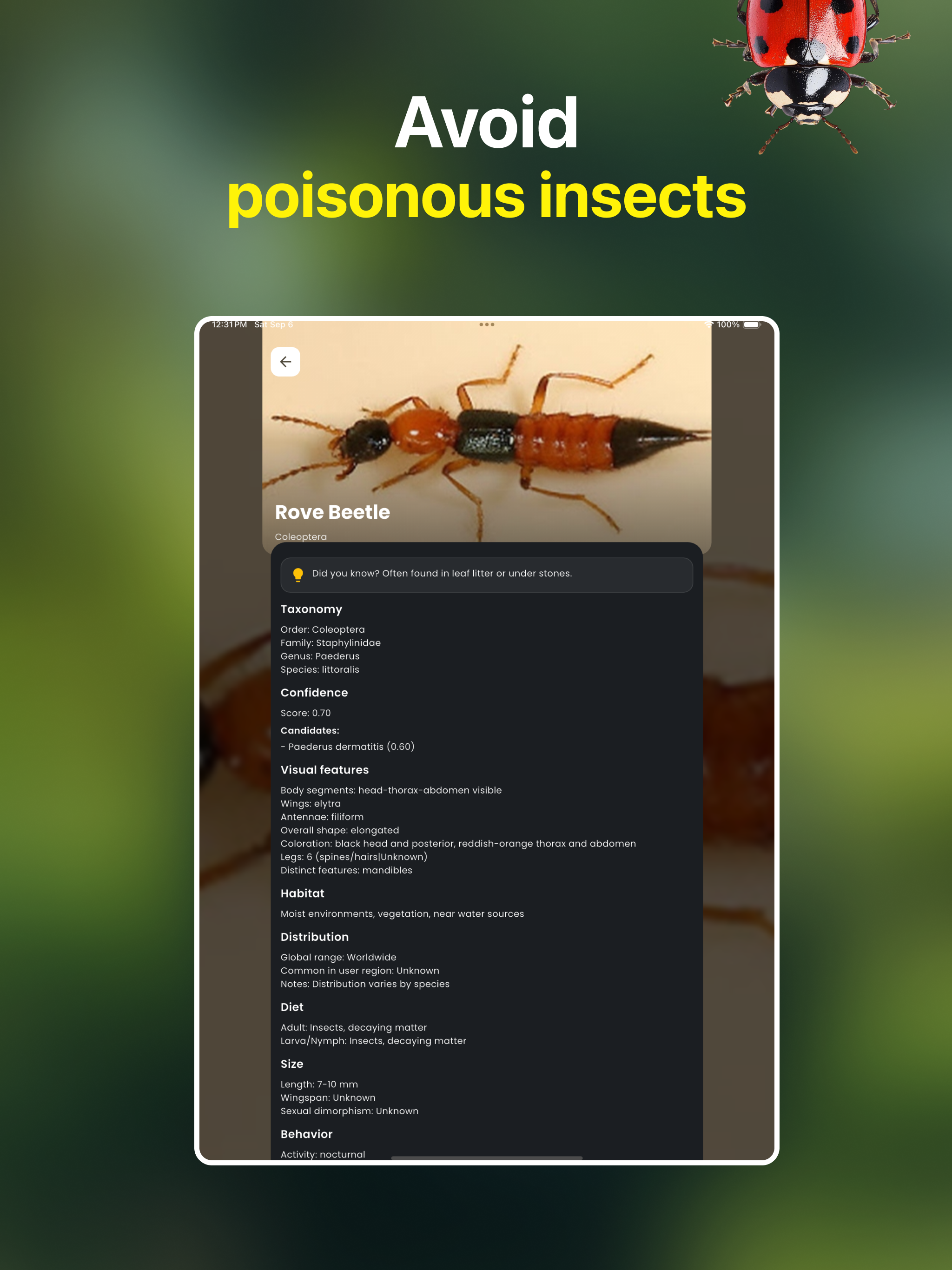 Bug Identifier: Spider Scanner