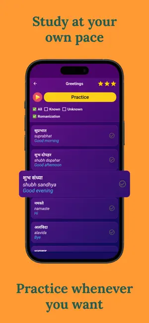Learn Hindi (Beginners) screenshot 3