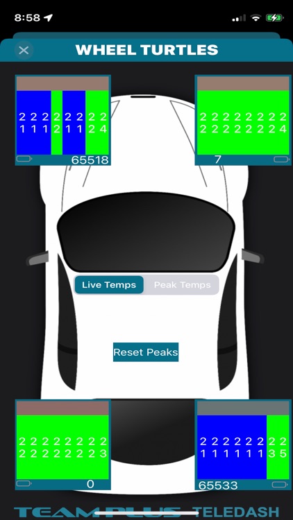 TELEDASH screenshot-4