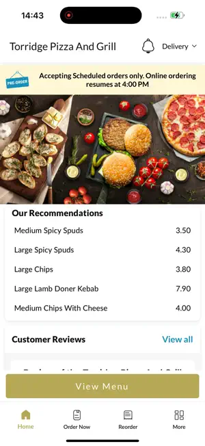 Torridge Pizza And Grill screenshot 2