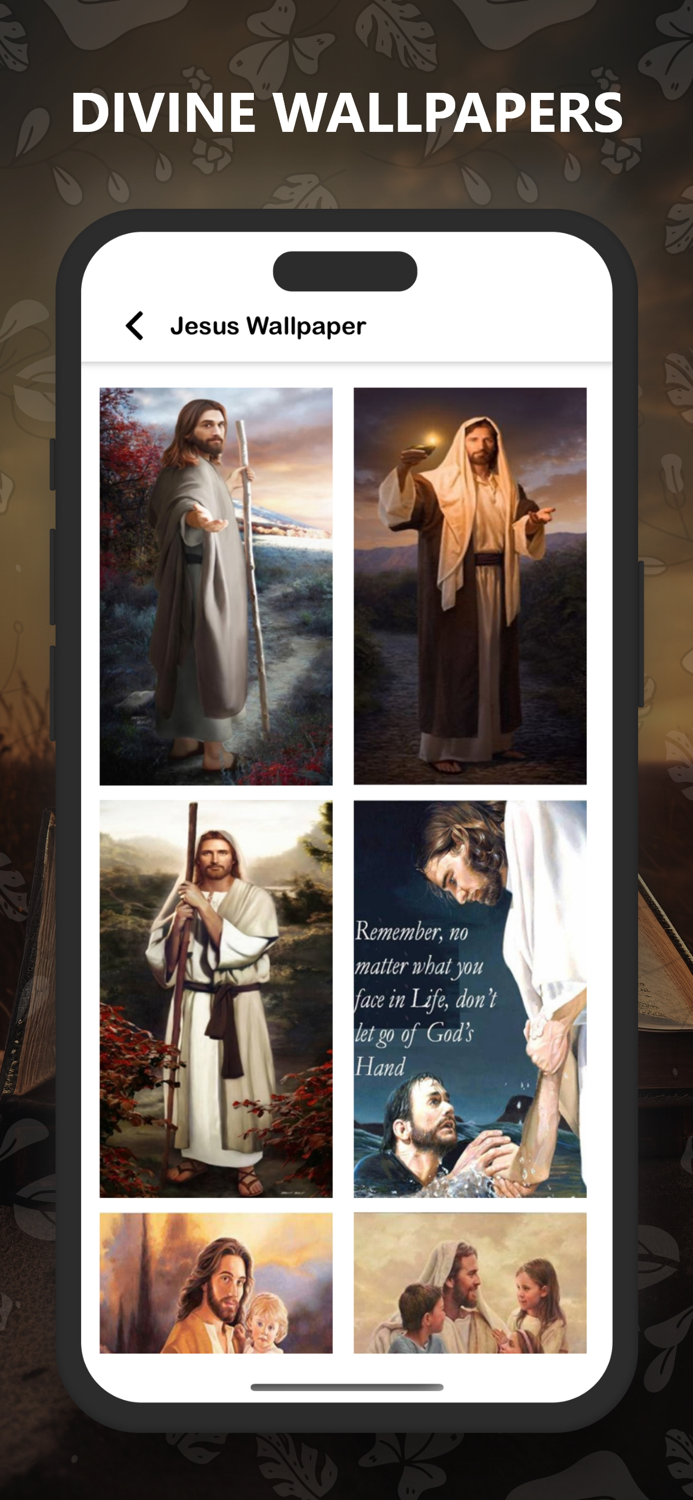 Biblia Ortodoxă - Română Pro