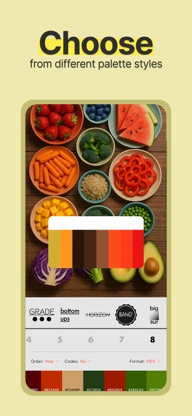 Color Viewfinder - palette screenshot 3