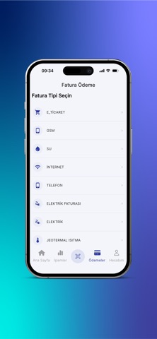 Payinall screenshot
