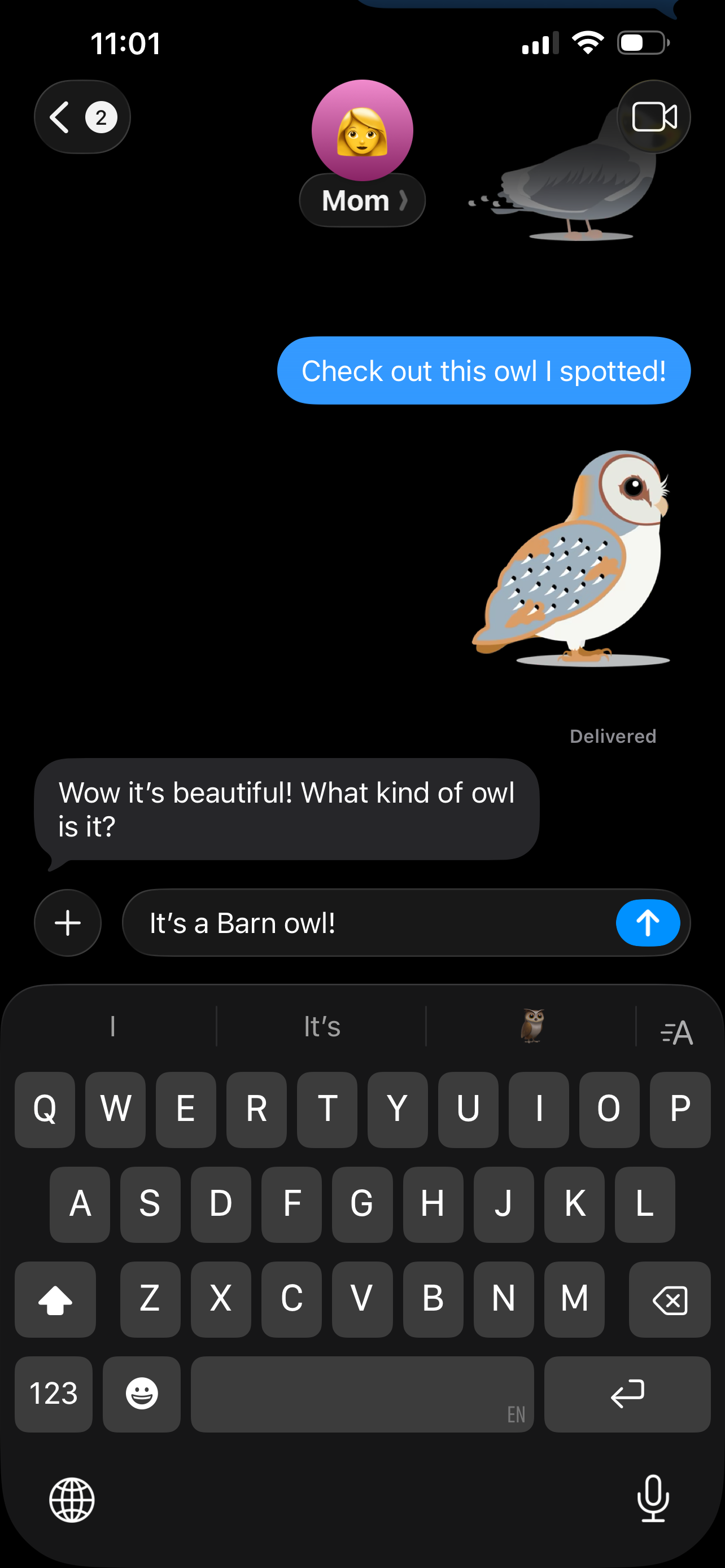 Identify Birds – Smart Bird ID