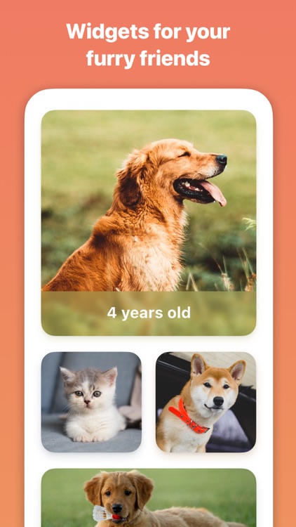 Kidgets: Simple Widget Maker screenshot-4