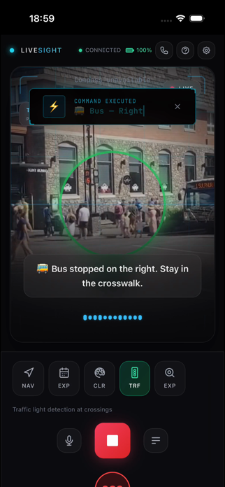 LiveSight - AI Navigation Screenshot 10 of 10