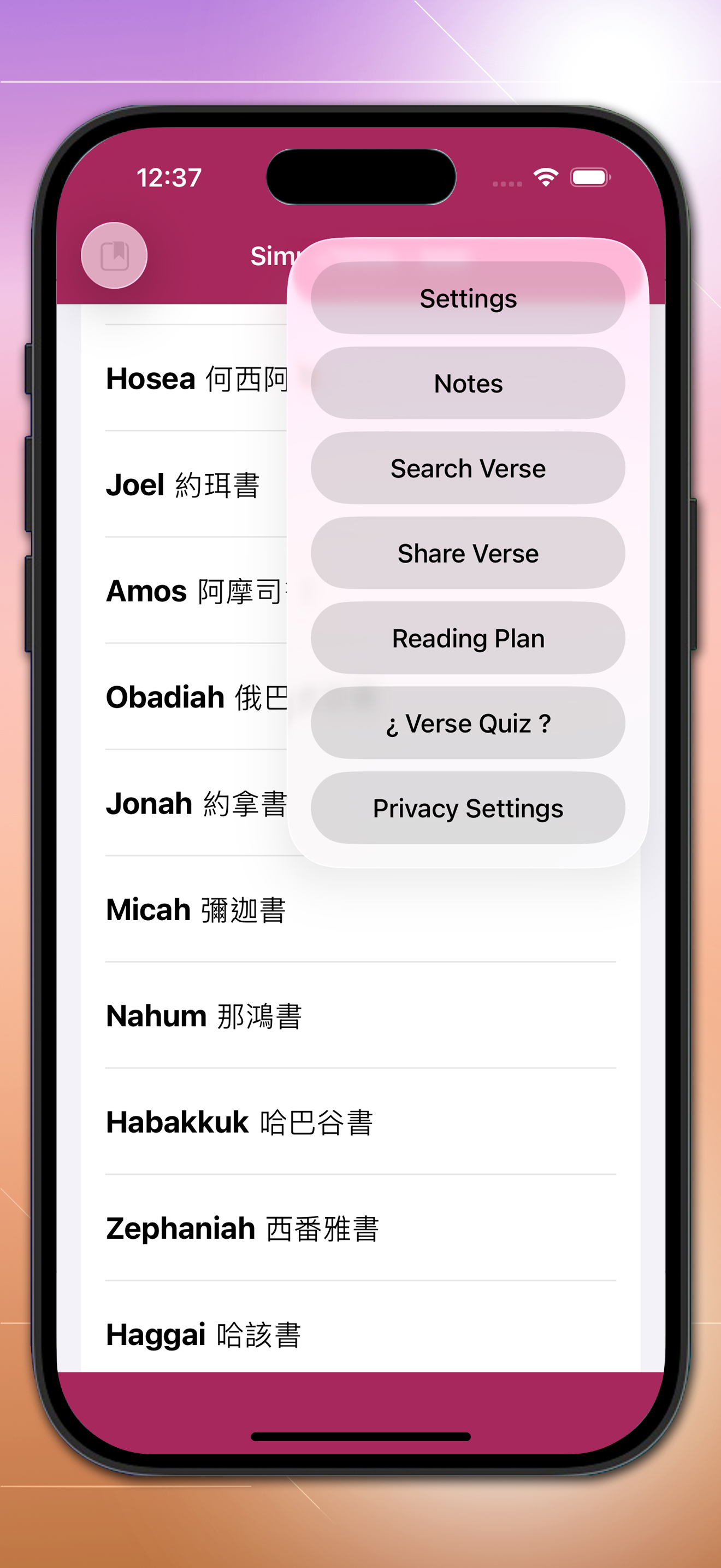 SimpleBible  - Bilingual