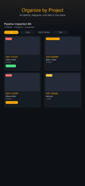 NDT Vault screenshot 2