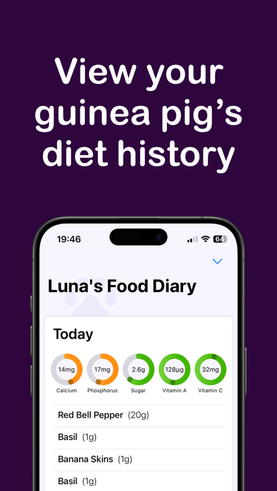 Cavv: Guinea Pig Food Diary Screenshot