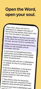 Bible Audio King James Version screenshot