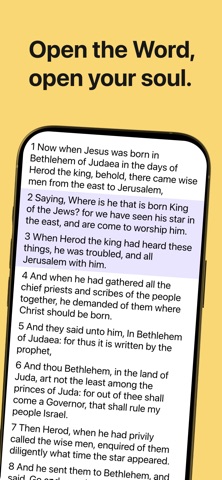 Bible Audio King James Version iPhone screenshot