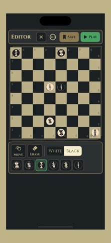 Two Player Chess (2P Chess) iPhone screenshot