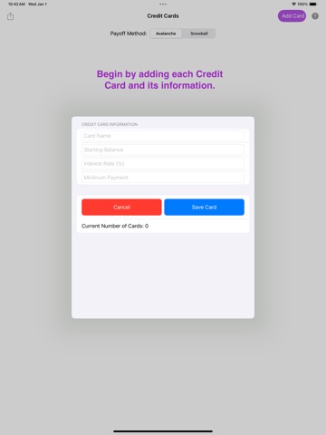 Credit Cards Payoff iPad screenshot