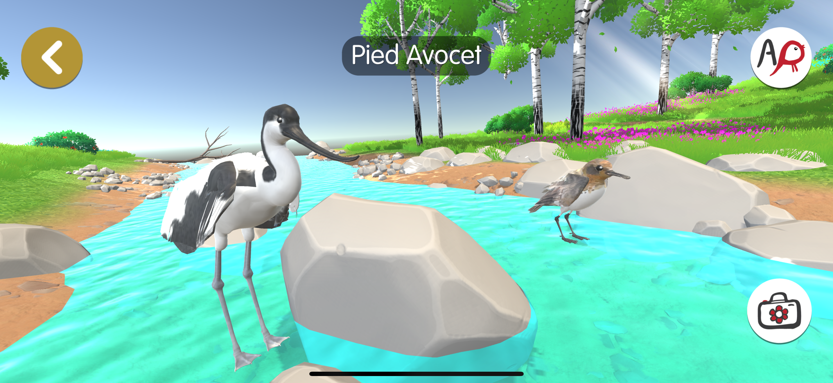 Where the Birds AR: HK Wetland screenshot 2