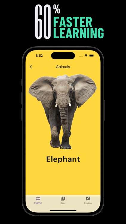 Learn English Flashcards screenshot-5