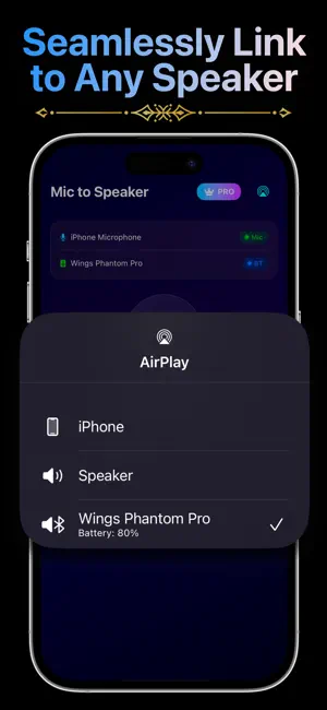 Bluetooth Mic to Speaker App iPhone screenshot 3