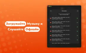 evermusic айфон картинки 4