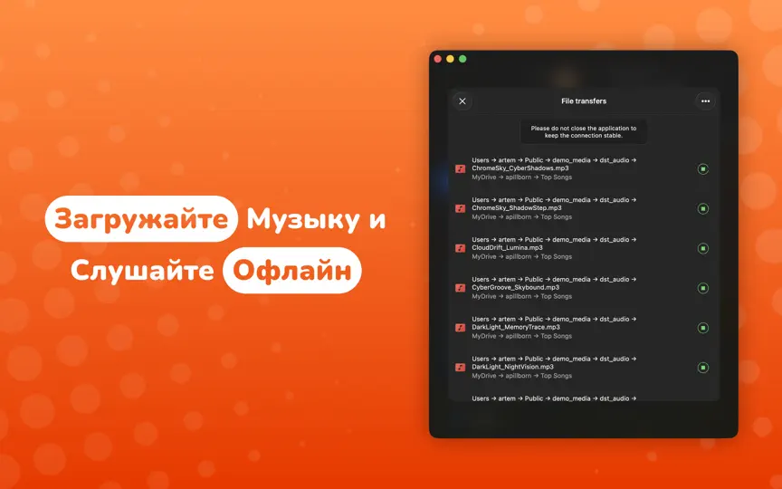 Скриншот Evermusic на iPhone 4
