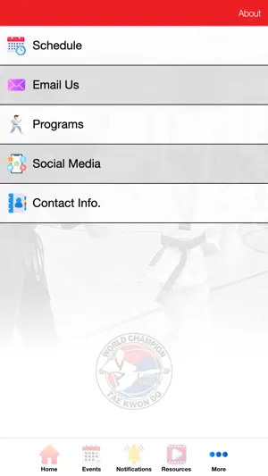 World Champion Taekwondo screenshot 4