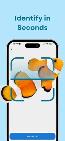 Fish Identifier: SeaID Screenshot 4 of 5