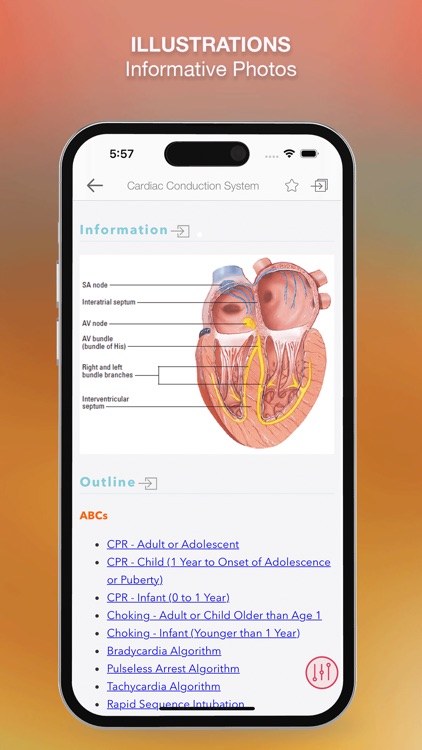 ICU ER Facts Made Incr Quick!
