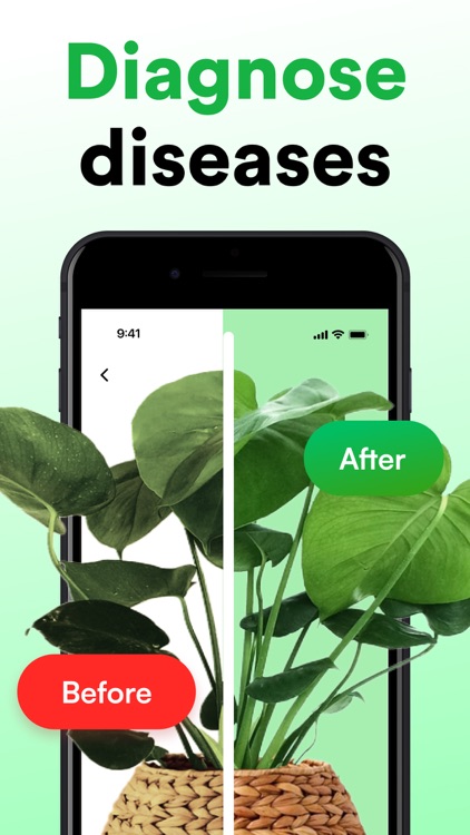 Plantly: Plant Identification