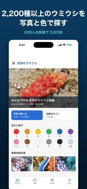 SEASLUG.WORLD screenshot 1