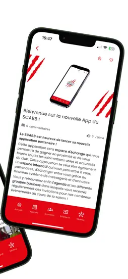 SCABB screenshot 13
