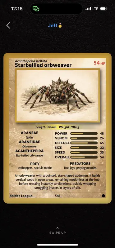 The Spider League screenshot 5 of 10