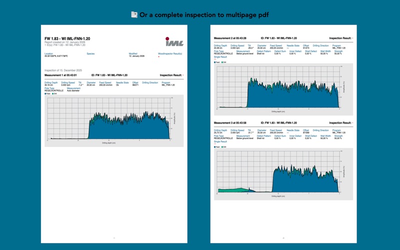 IML Studio screenshot