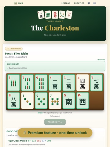 MAHJ: Learn American Mahjong iPad screenshot