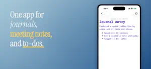 Brain Dump: Voice Journal screenshot 3