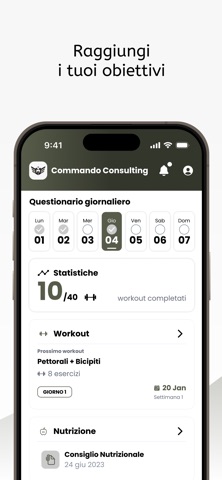 Commando Consulting screenshot