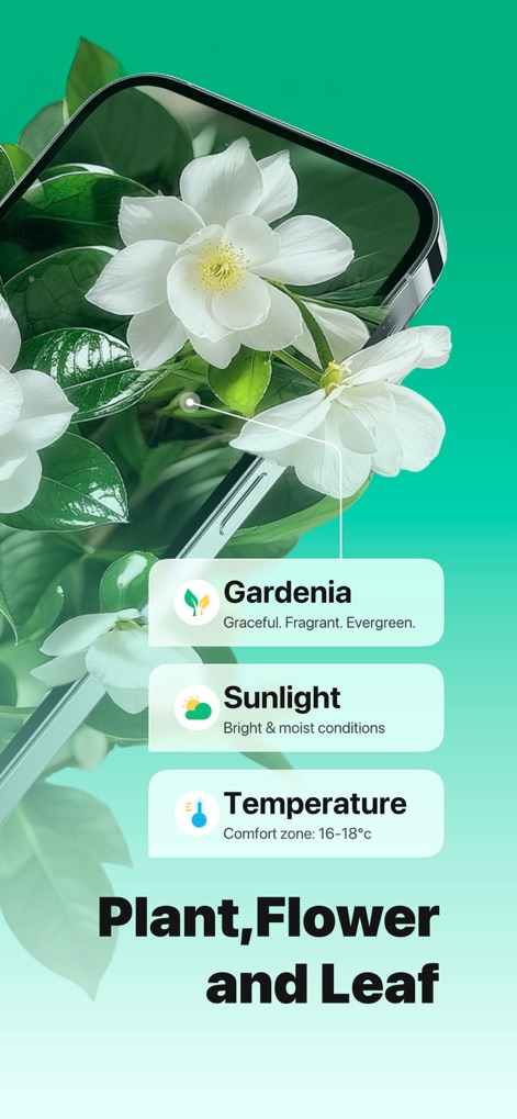 PlantLush: Plant ID & Care Pro - Nutzer erhalten umfassende Informationen zu Pflanzen, die durch die detailreichen Pop-ups zu Gardenien und den spezifischen Angaben zu Sonnenlicht und Temperatur visualisiert werden.