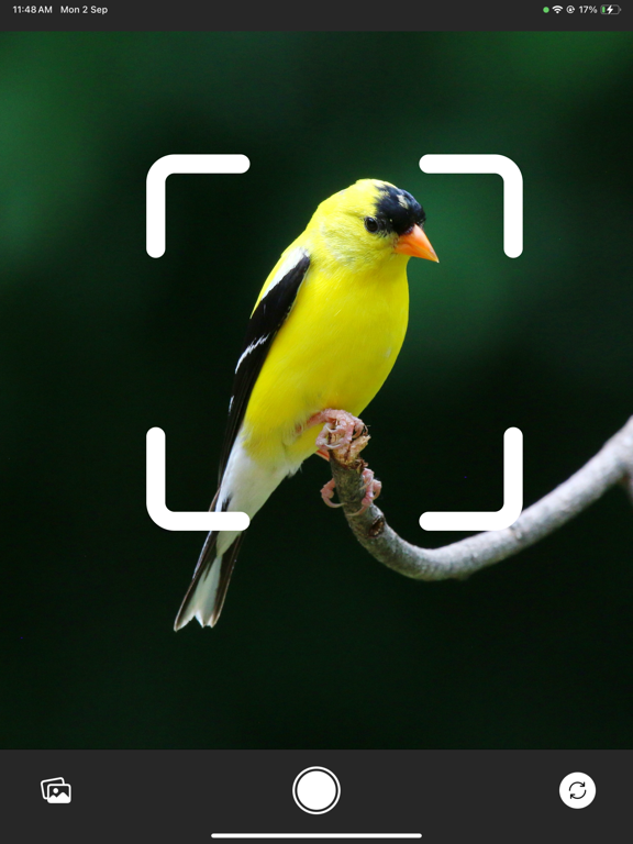 Bird Identifier - BirdID ۬ iPad screenshot 2 - Reference app