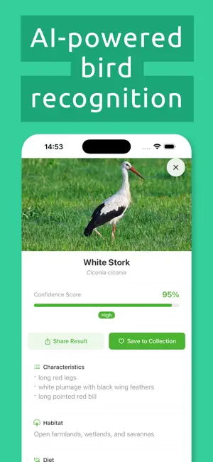 Bird Identifier: Sound ID screenshot 3