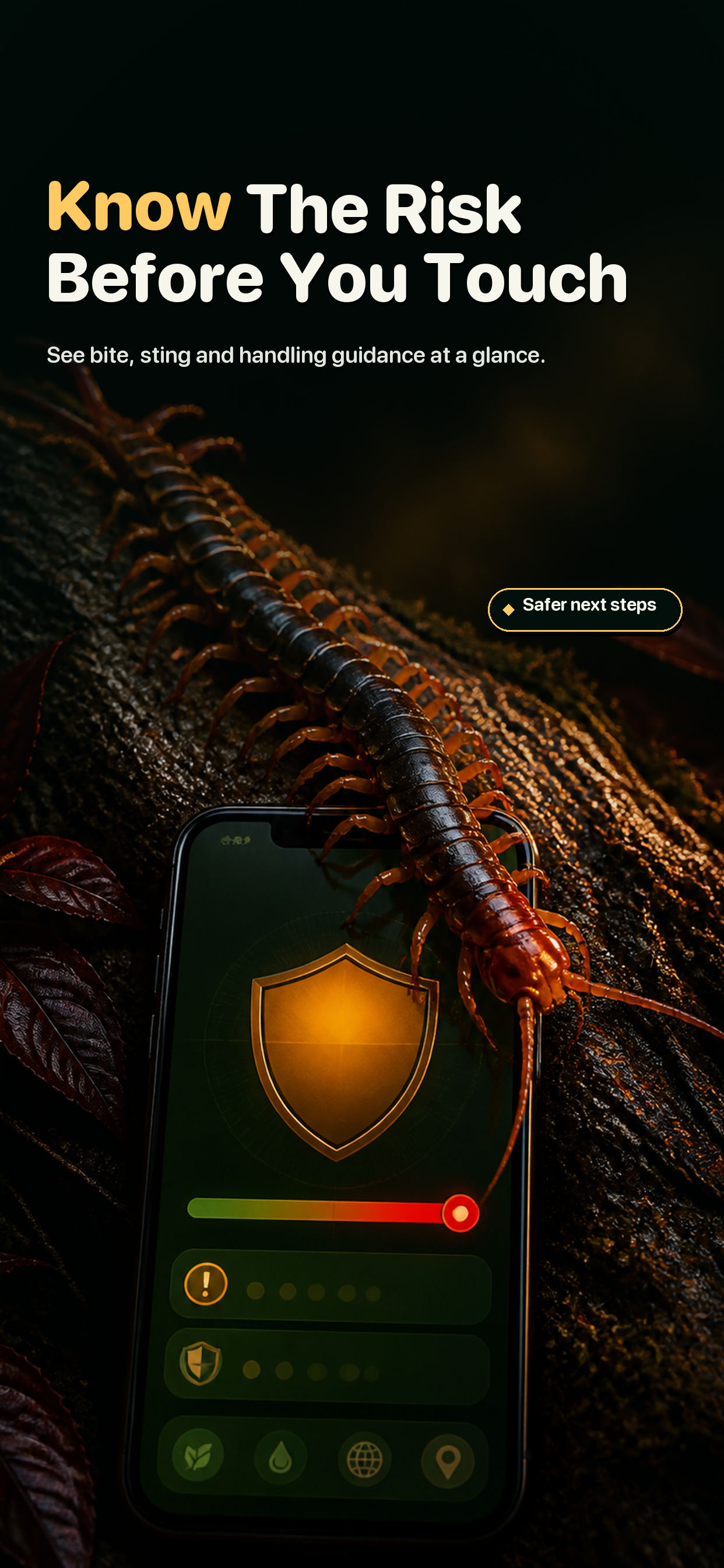 Bug Identifier AI: Insectra screenshot 2