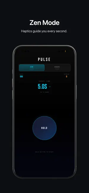 Pulse: Timing screenshot 3