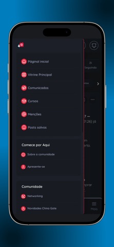 China Gate: Bora Importar iPhone screenshot