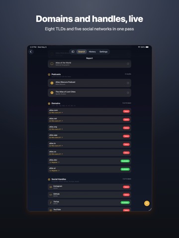 NameVett - Trademark Search iPad screenshot