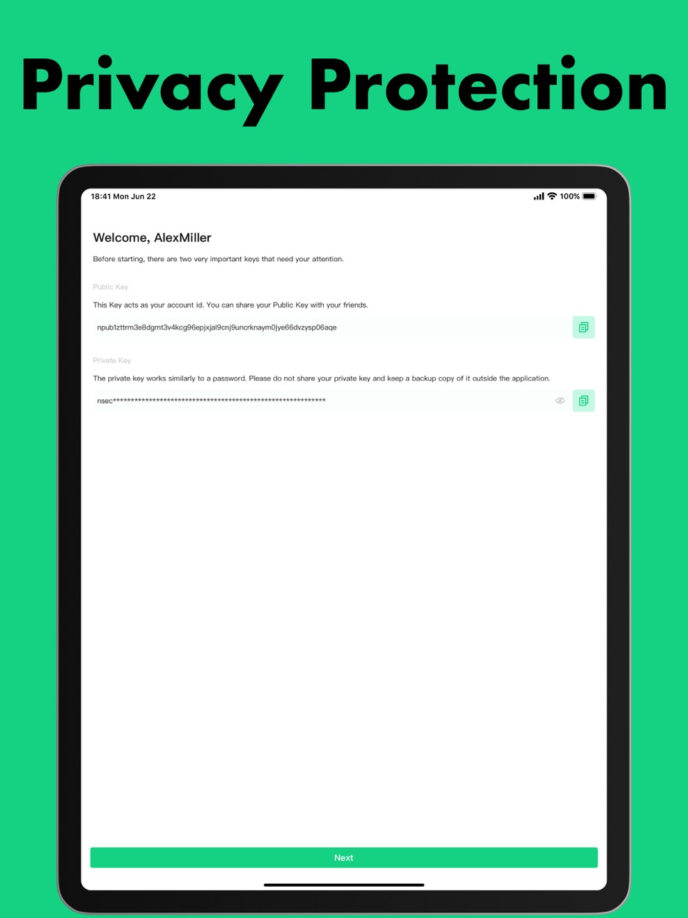 iPad screenshot