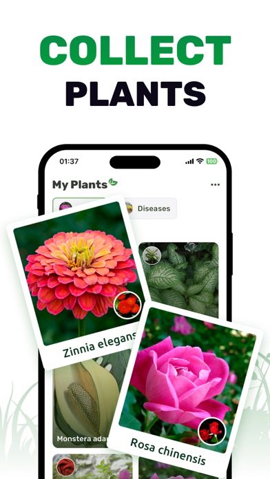 Plant ID: Nature Identifier AI Screenshot