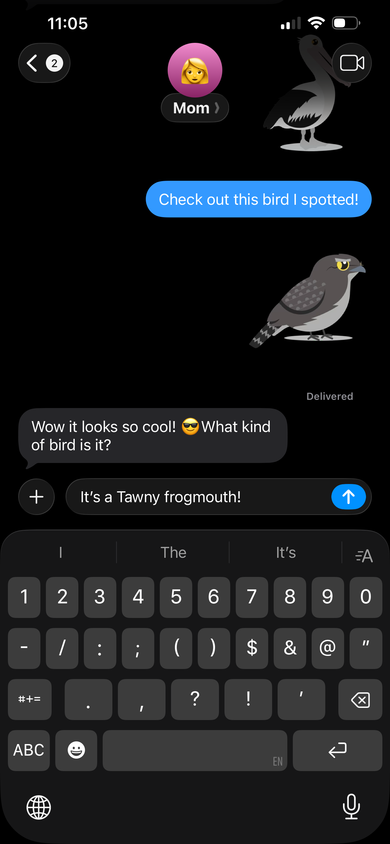 Identify Birds – Smart Bird ID