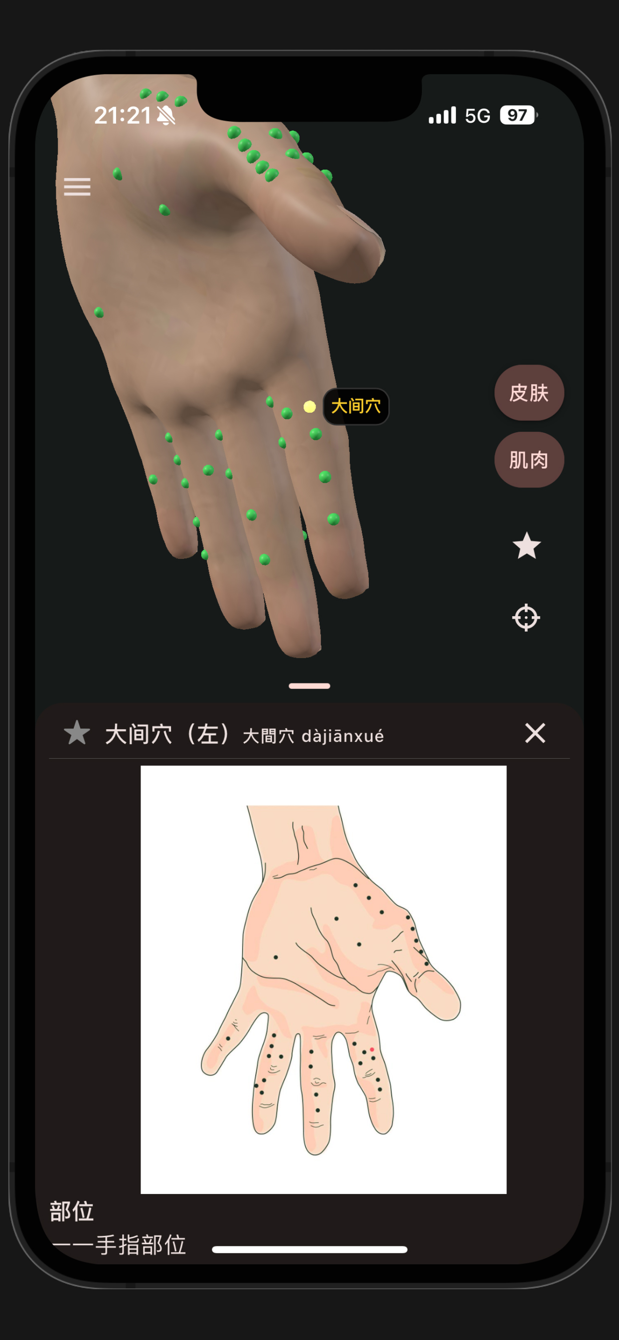 董氏奇穴-3D互动版
