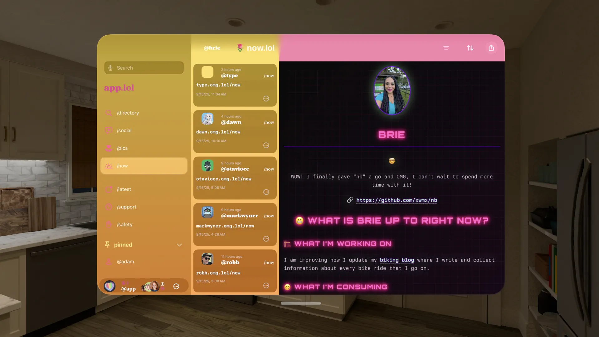 app.lol screenshot 3