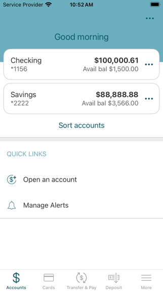 Skyline National Bank Screenshot