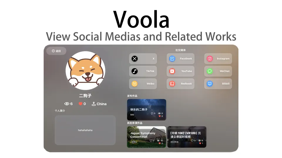 Voola - Immersive Photo/Video screenshot 5