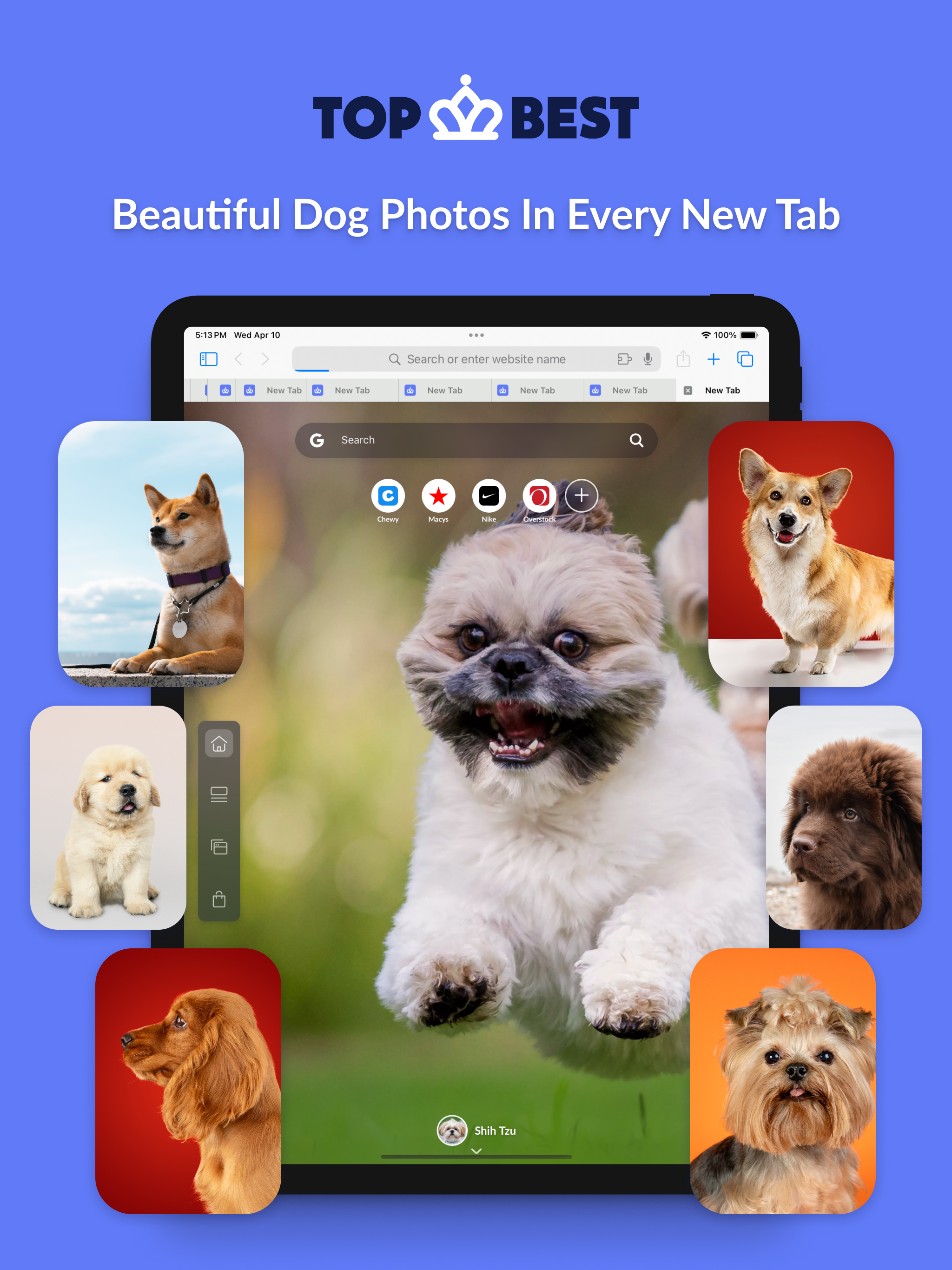 Top Best Browser Extension
