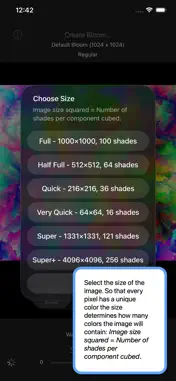 Bloom. screenshot 3